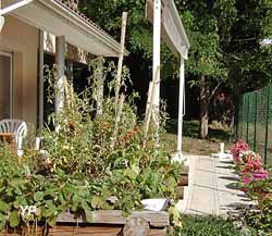 L'accueil thérapeutique de jour des Carmes