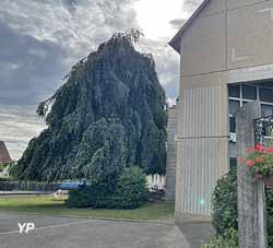 EHPAD Résidence Les Vosges