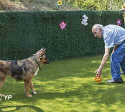 Les Jardins d'Athéna