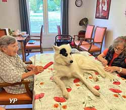 Residence Korian de Chaintreauville