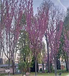 EHPAD R&eacute;sidence du Ch&acirc;teau